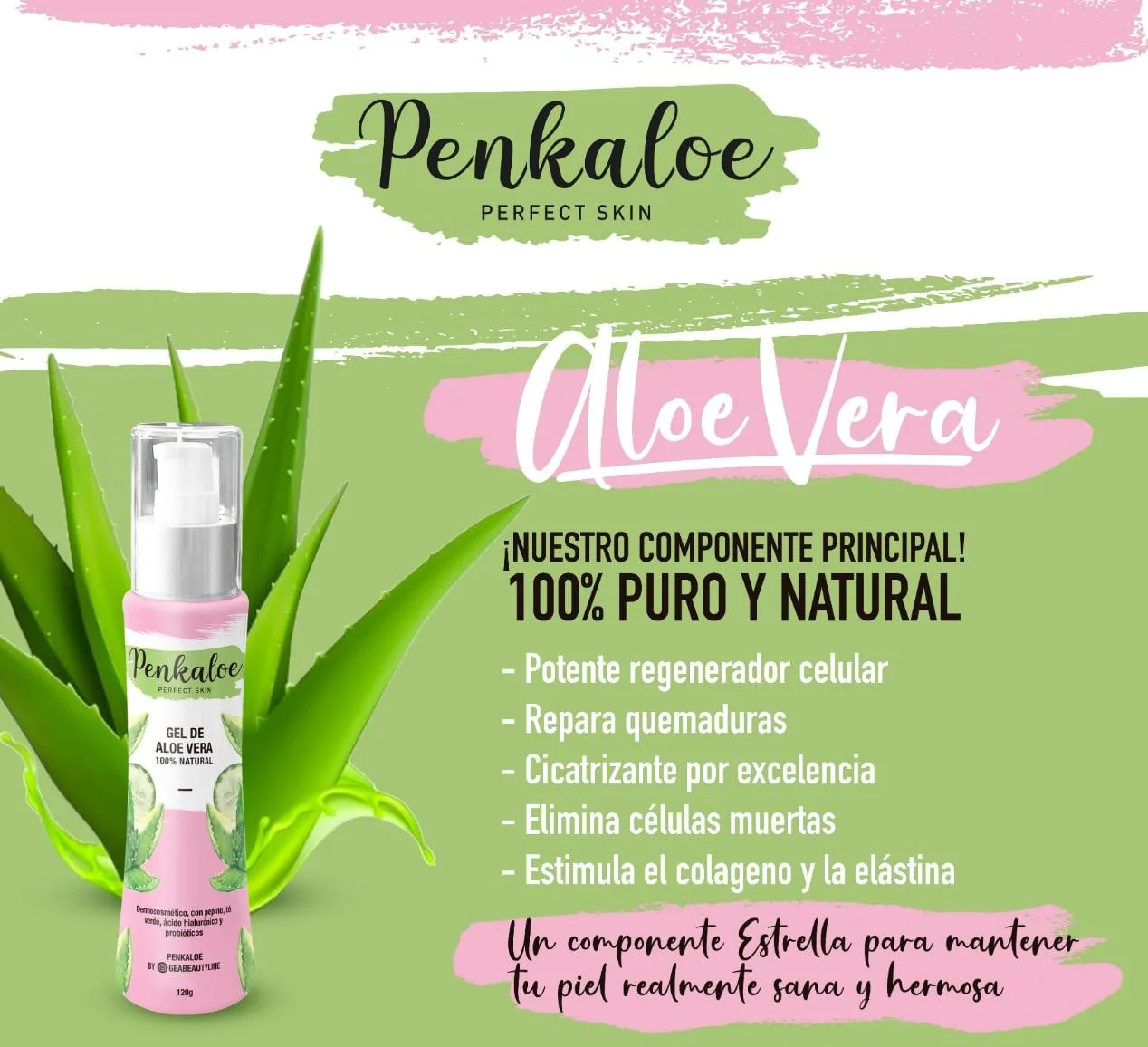 Aloe Vera Gel by Penkaloe