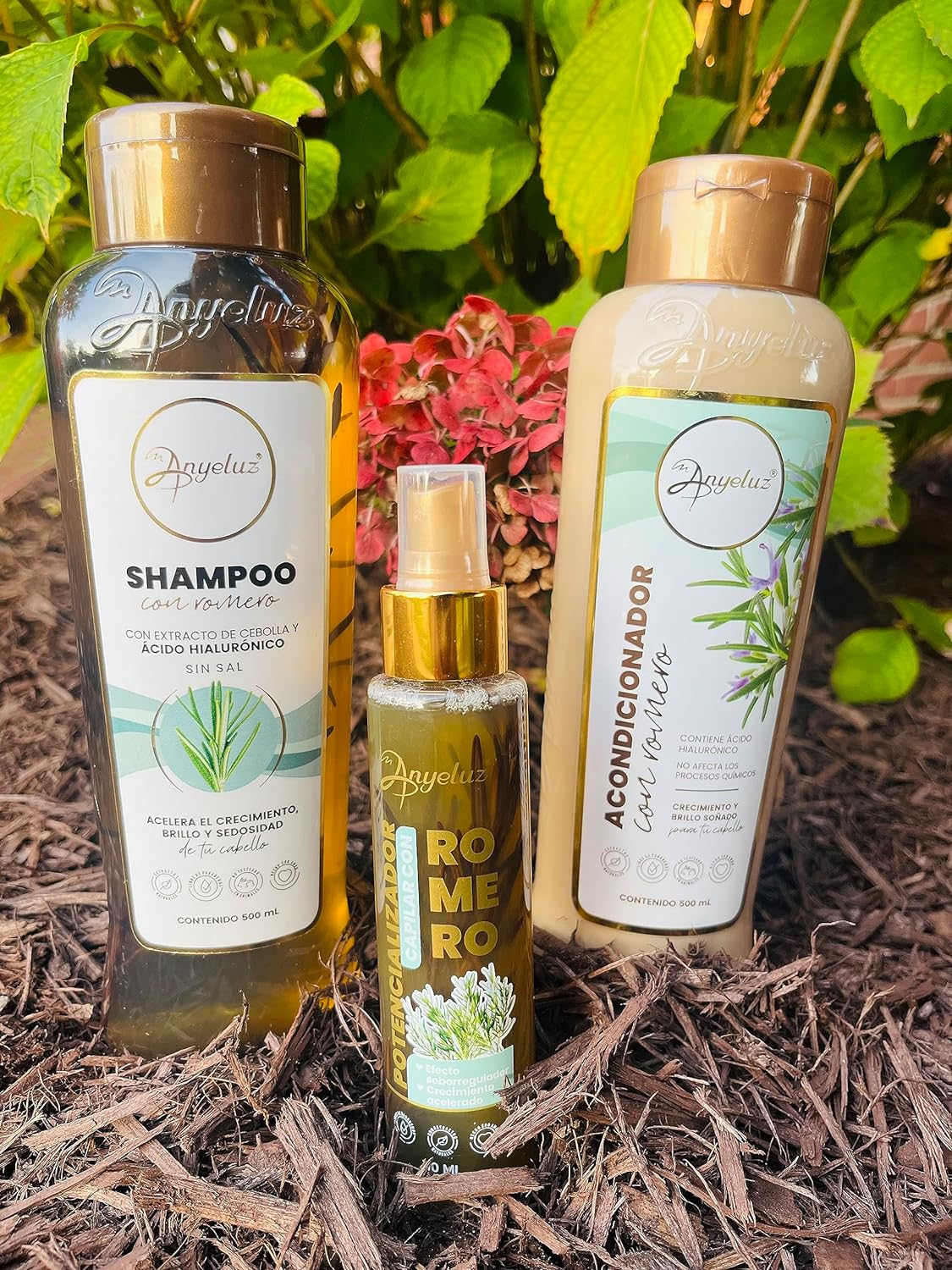 Rosemary Shampoo, Conditioner, and Enhancer by Anyeluz